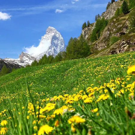 Nirwana By Interhome * Zermatt