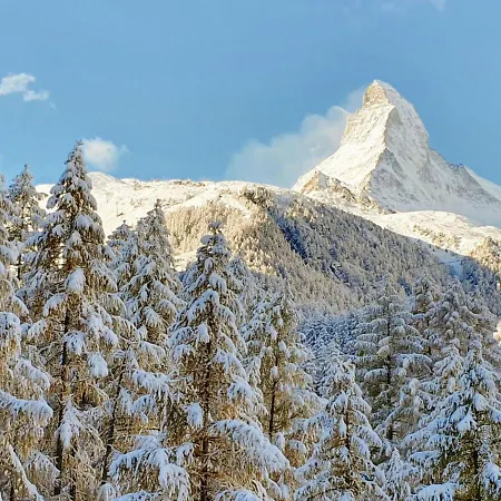 Nirwana By Interhome Daire Zermatt